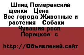 Шпиц Померанский щенки › Цена ­ 25 000 - Все города Животные и растения » Собаки   . Чувашия респ.,Порецкое. с.